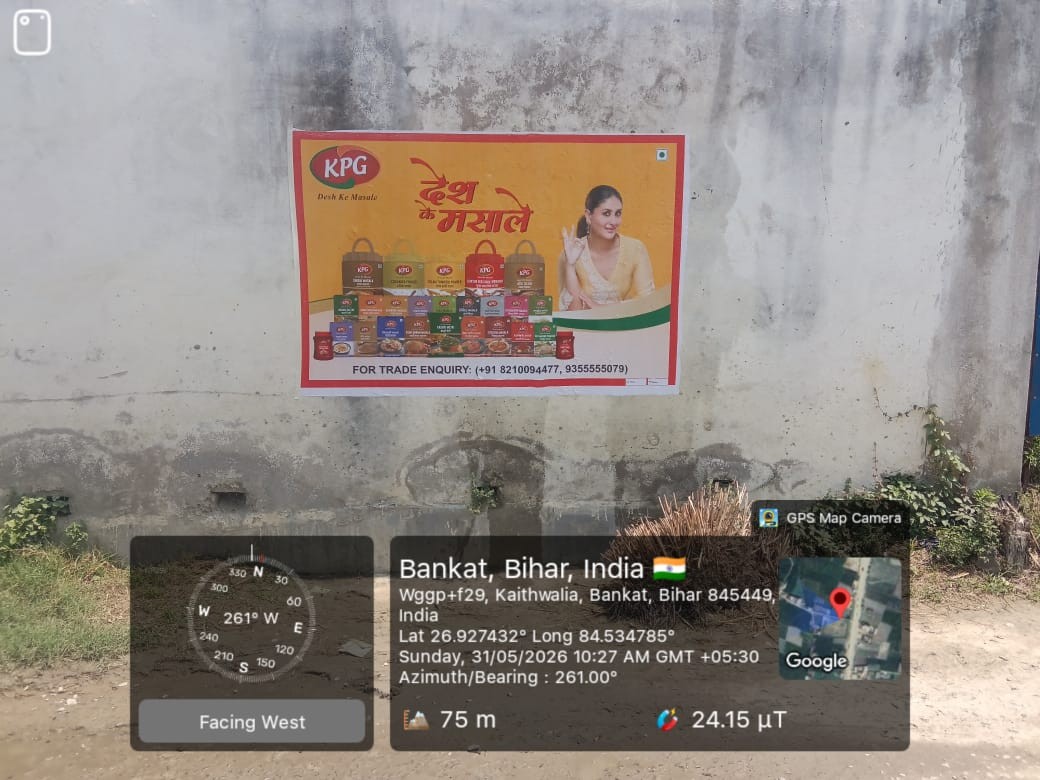 Digital & Regular Wall Painting